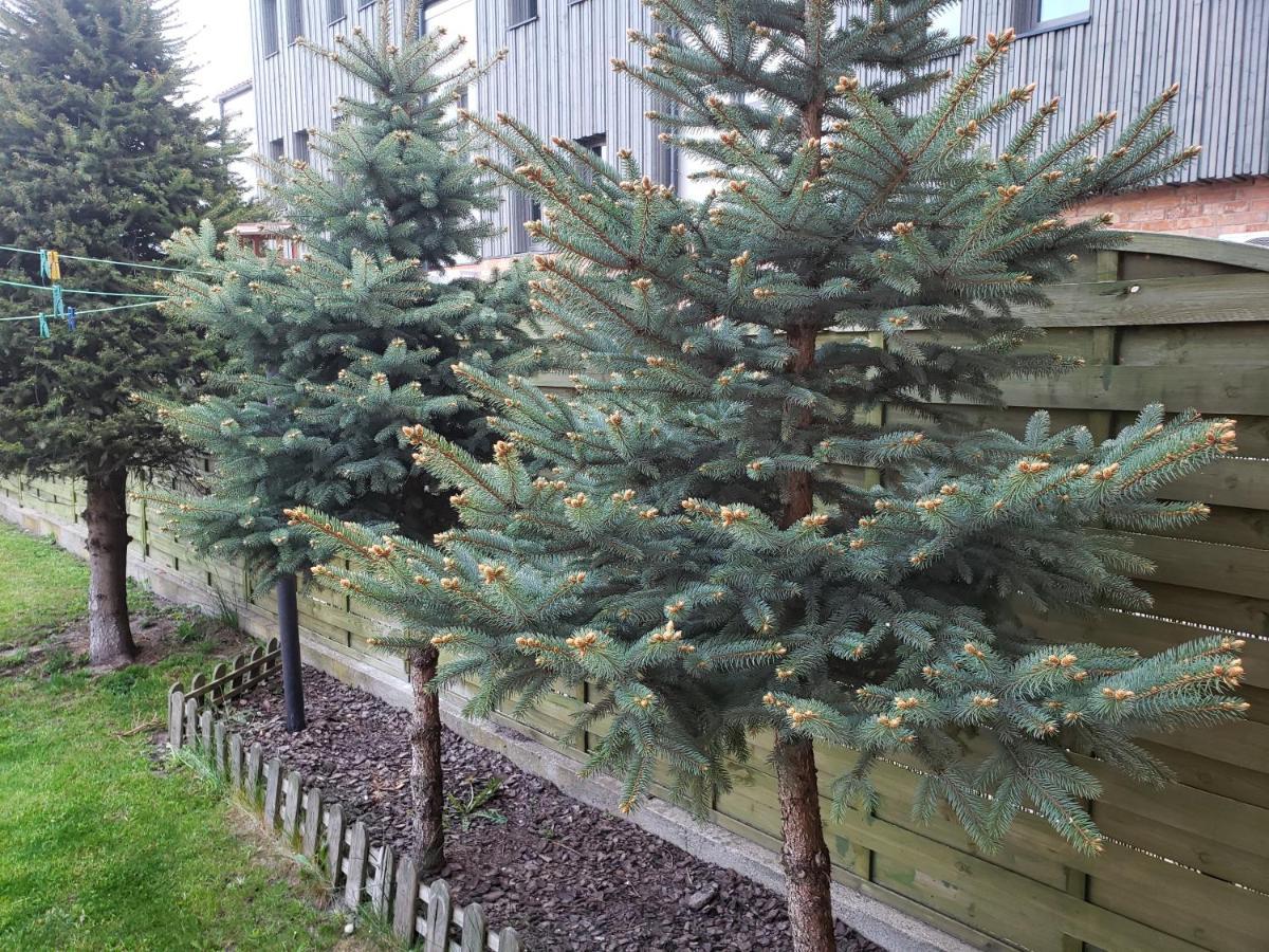 Apartment Aga13 Mikolajki (Mragowo)